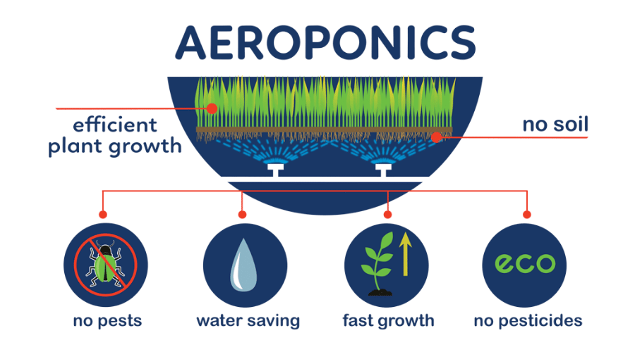 Aeroponic farming
