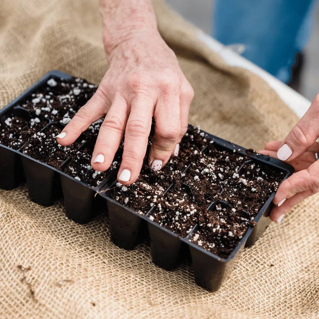 Pick Suitable Containers