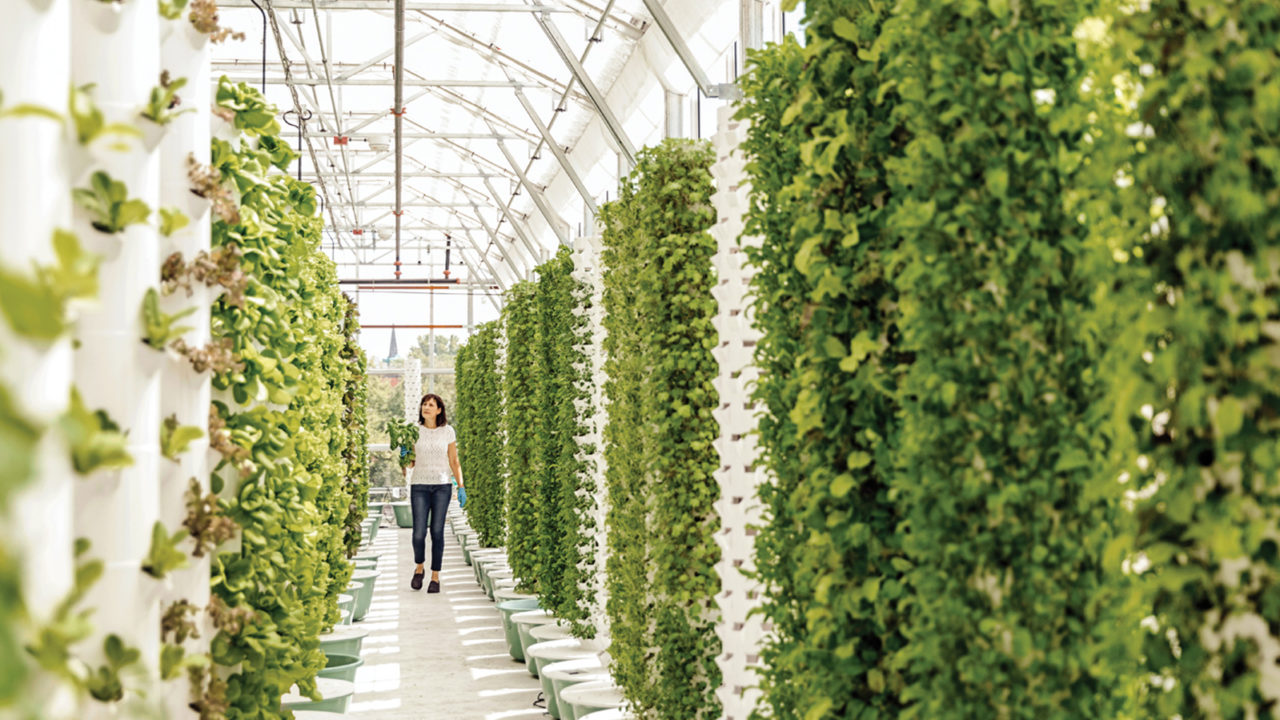 suit Pakistan’s urban and commercial needs.