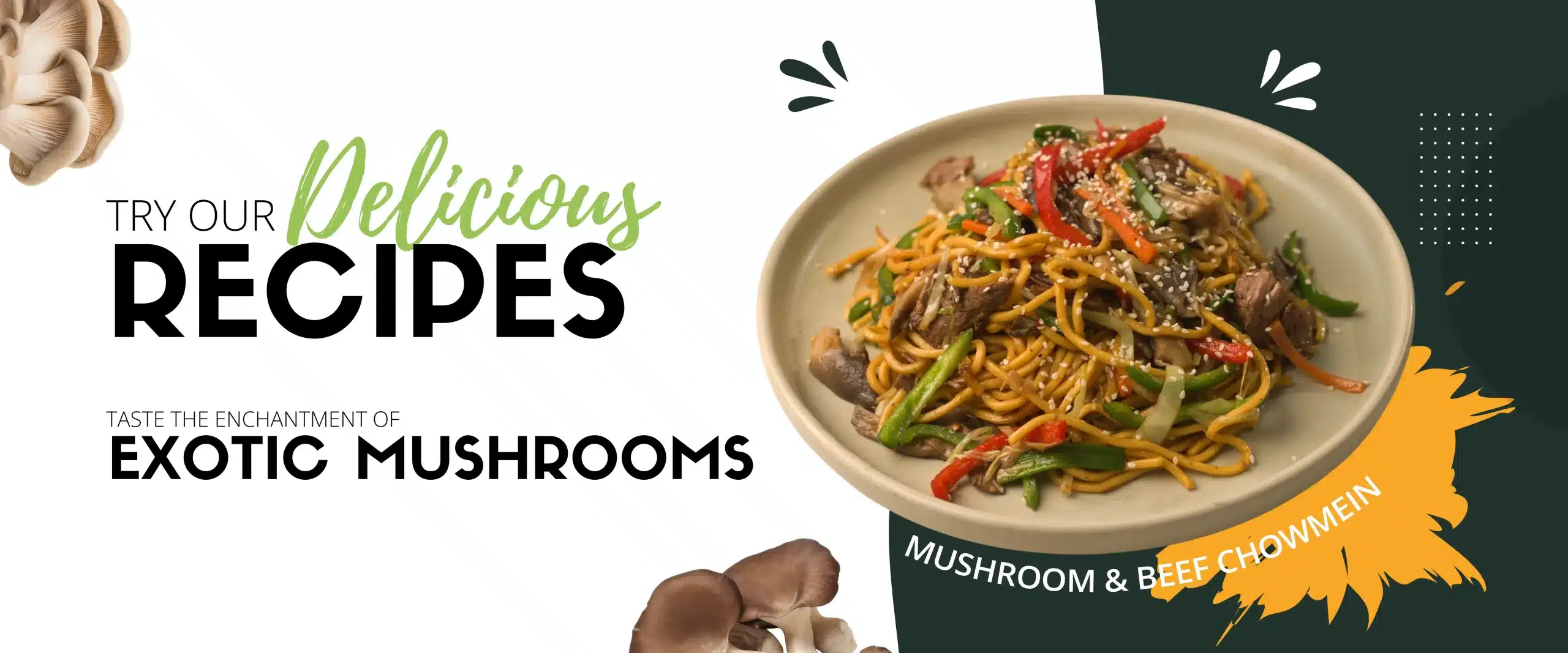 Beef-chowmin-mushroom-recpie-banner-scaled