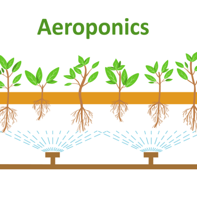 Aeroponics-farming