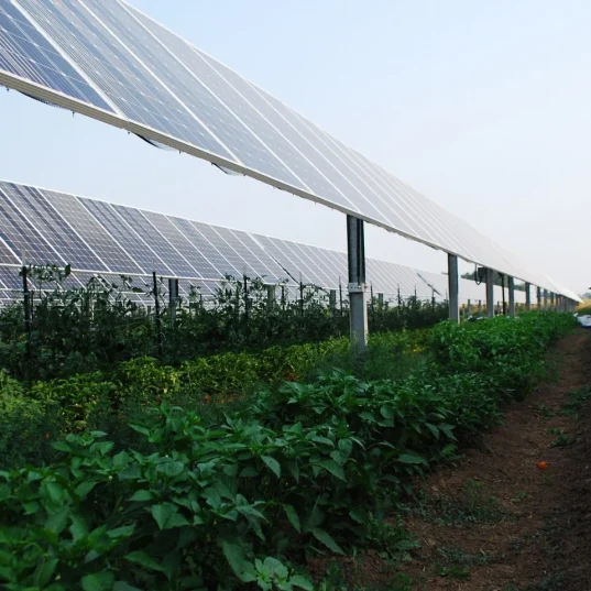 Challenges to Consider