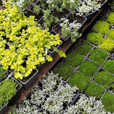 Choose the Right Location and Infrastructure