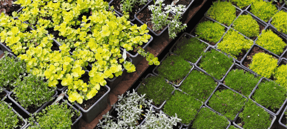 Choose the Right Location and Infrastructure