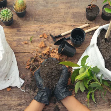 Compost The Soil Superfood