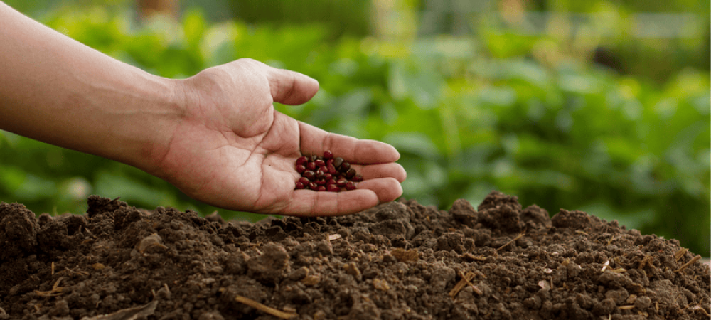 Ensure Compliance and Quality for Export