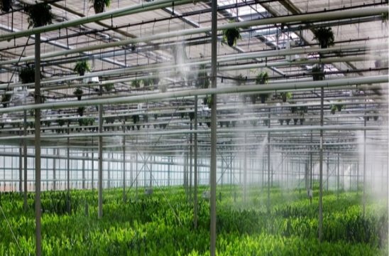 HumidifiersDehumidifiers