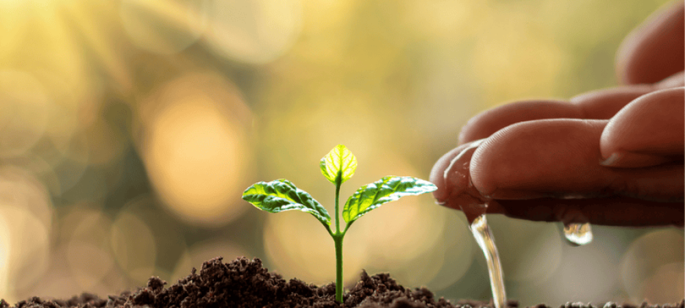 Scale and Diversify for Long-Term Success