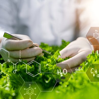 Stress Makes Them Tastier