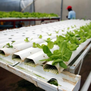 Utilize Local, Inexpensive Materials