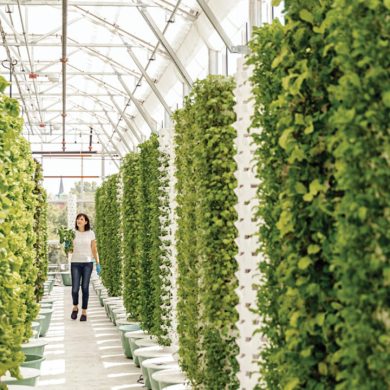 suit Pakistan’s urban and commercial needs.